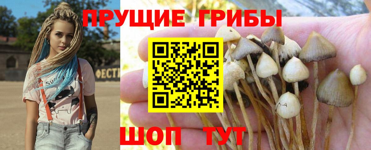 Изобильный  Галлюциногенные грибы мицелий  Галлюциногенные грибы Psilocybe  Вход с VPN 
